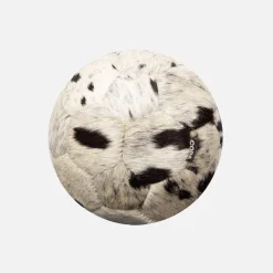 COPA Cow Palloni calcio
