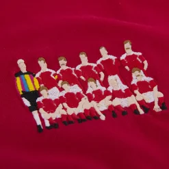 Danimarca 1992 European Champions embroidery T-Shirt